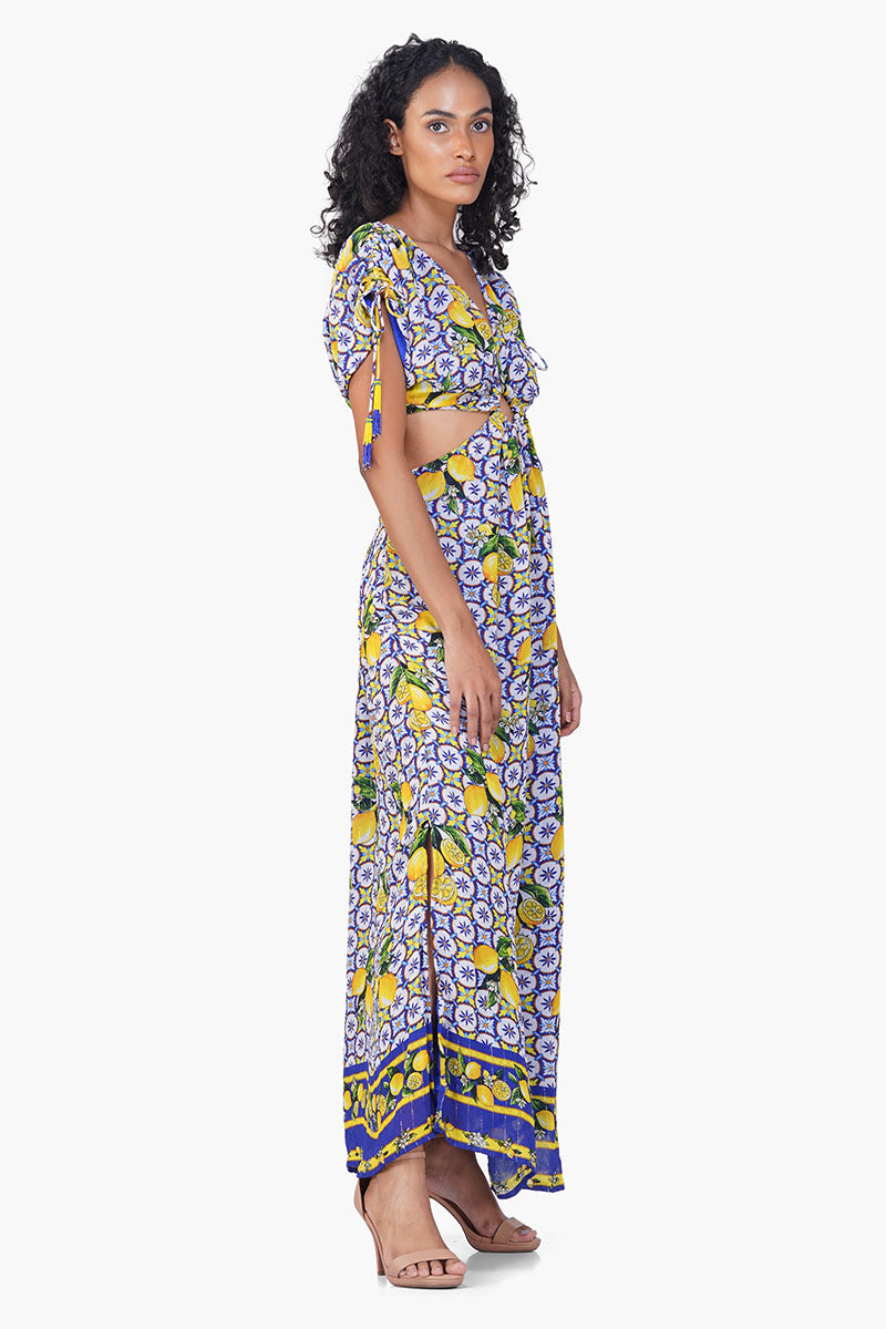 Citrus Lemon Lurex Print Dress